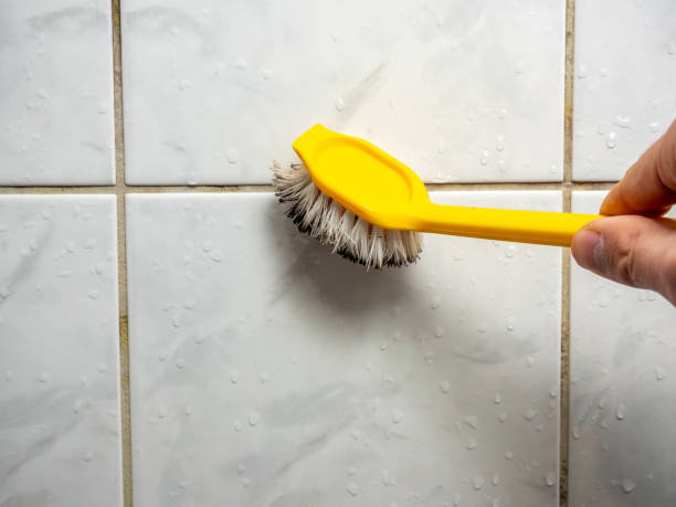 Best Fast Mold Removal  in Galena Park, TX