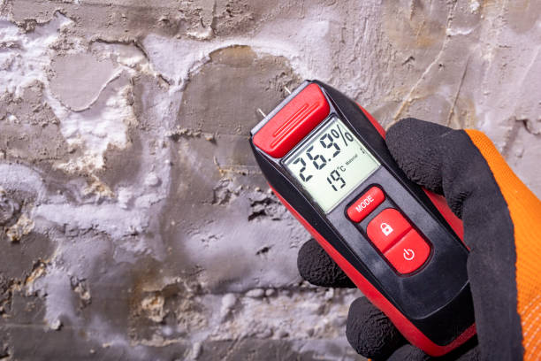 Best Mold Cleaning Services  in Galena Park, TX
